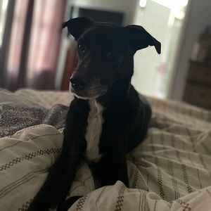 Meet your Posher, Bobbi